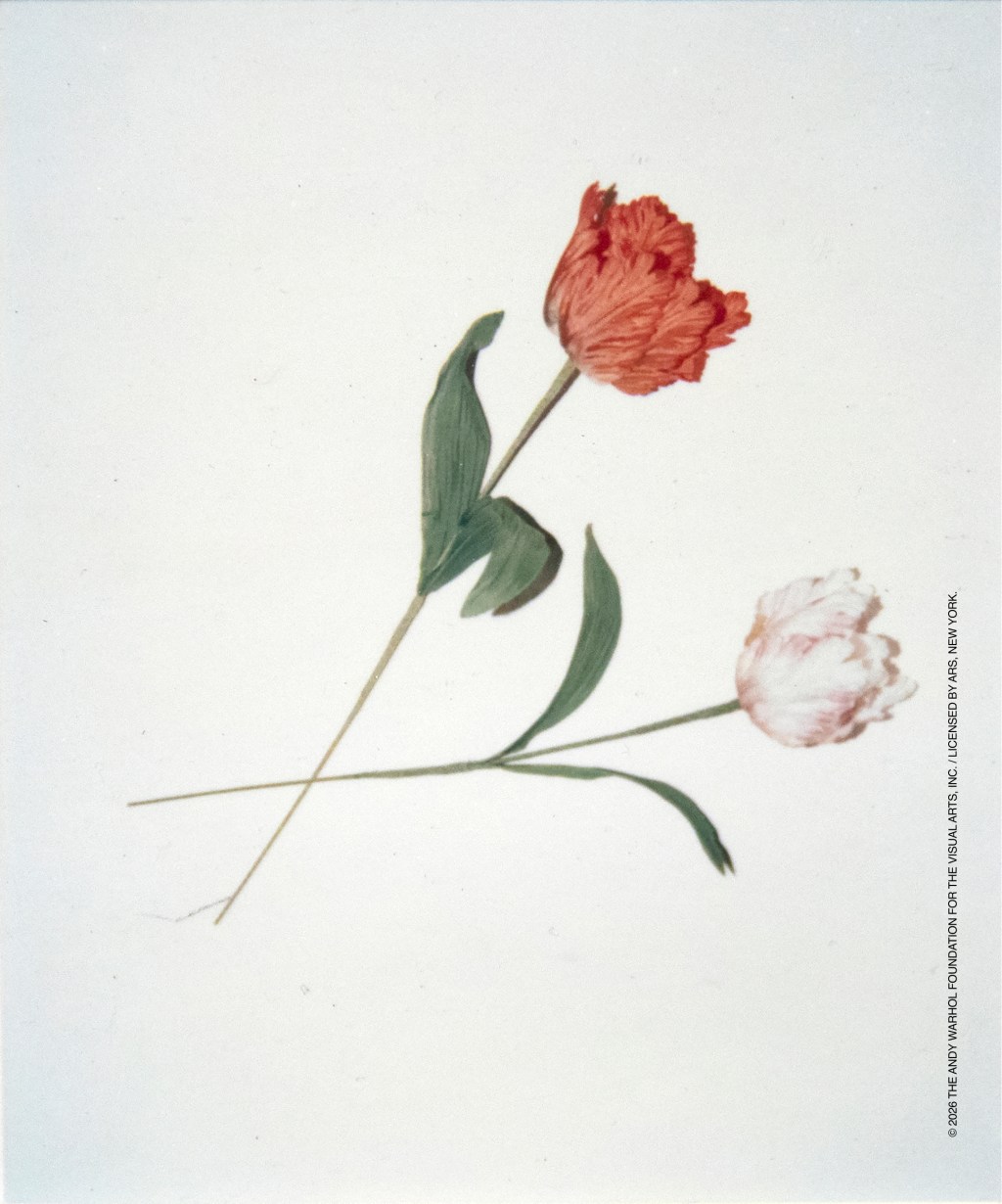 Banal Objects: quando Warhol trasforma il quotidiano in&nbsp;icona